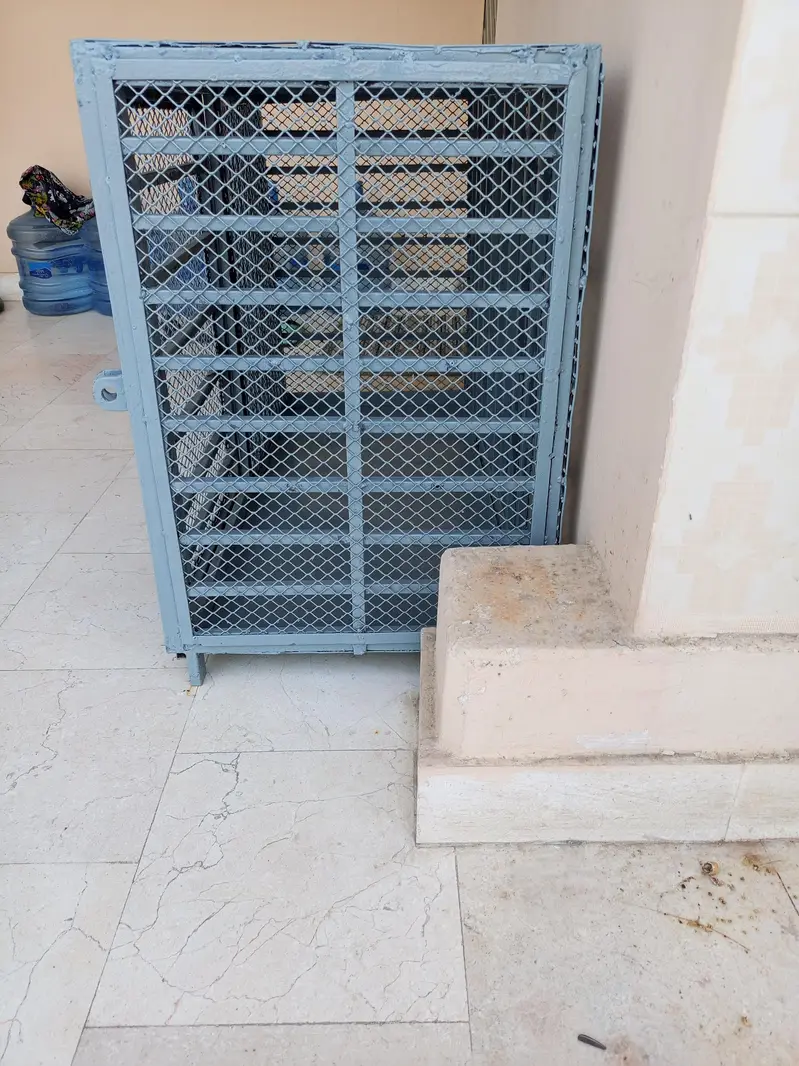 Dog cat hen brand new iron cage 03333249606 — photo 7