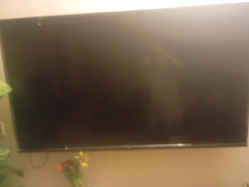 TCL television 1