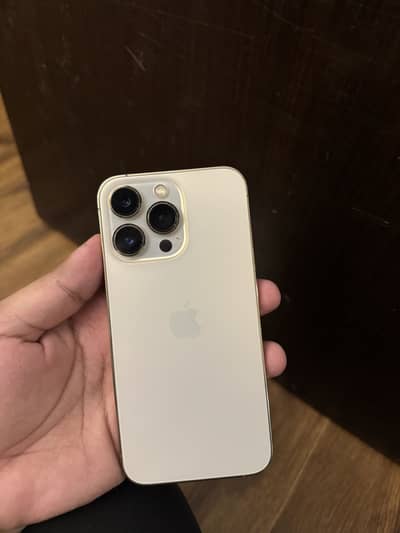 Apple iPhone 13 Pro FU