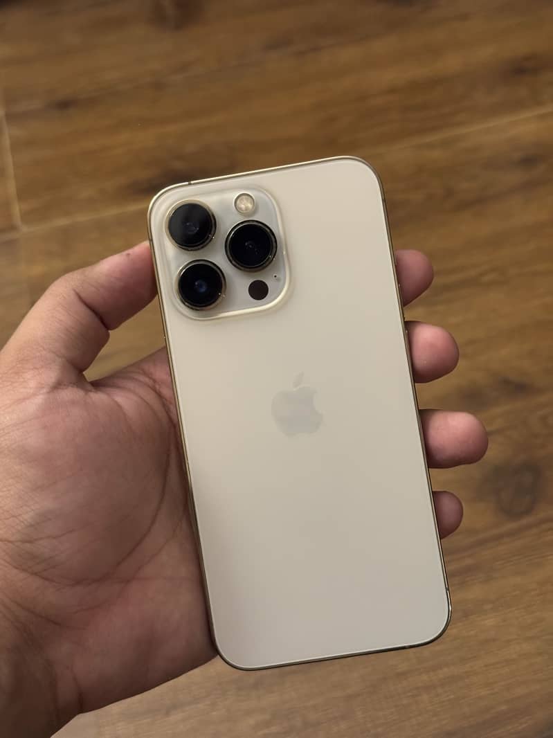 Apple iPhone 13 Pro FU 1