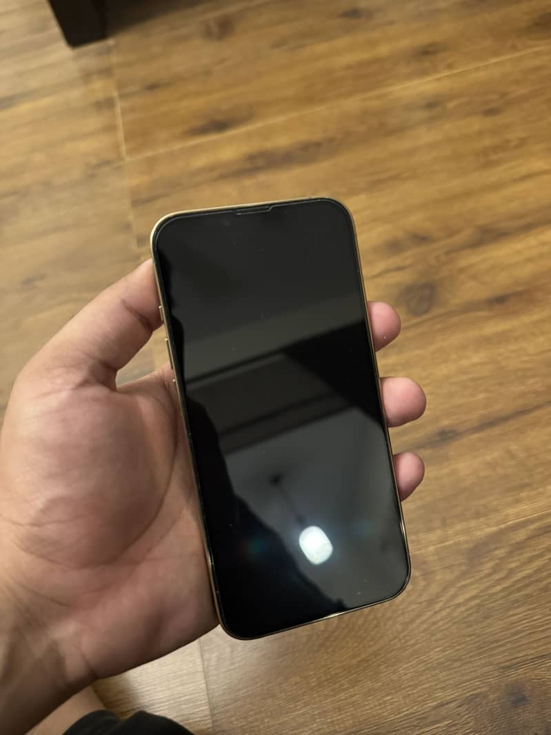 Apple iPhone 13 Pro FU 2