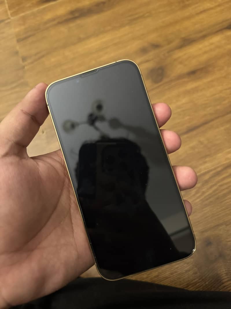 Apple iPhone 13 Pro FU 4