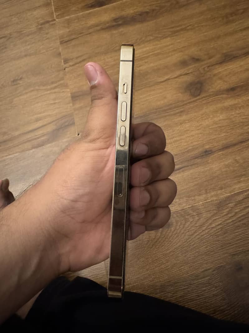 Apple iPhone 13 Pro FU 5