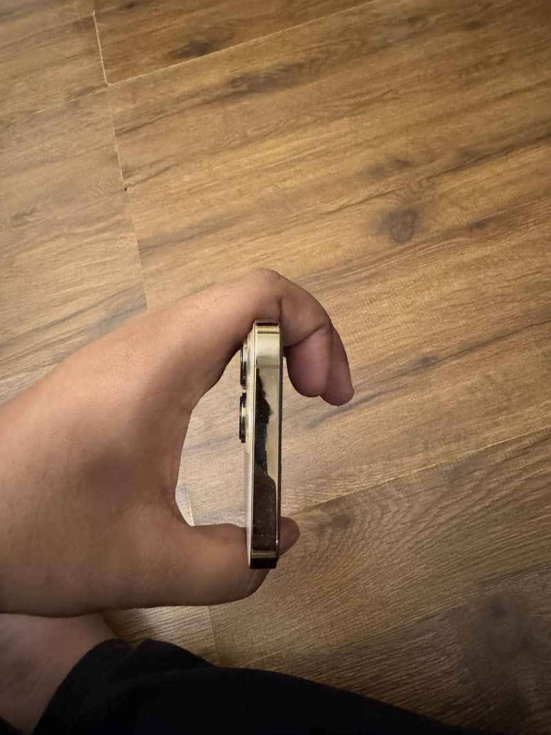 Apple iPhone 13 Pro FU 6