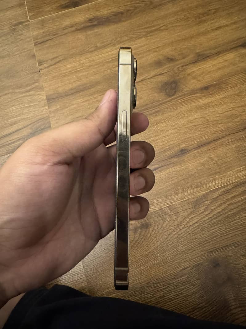 Apple iPhone 13 Pro FU 7
