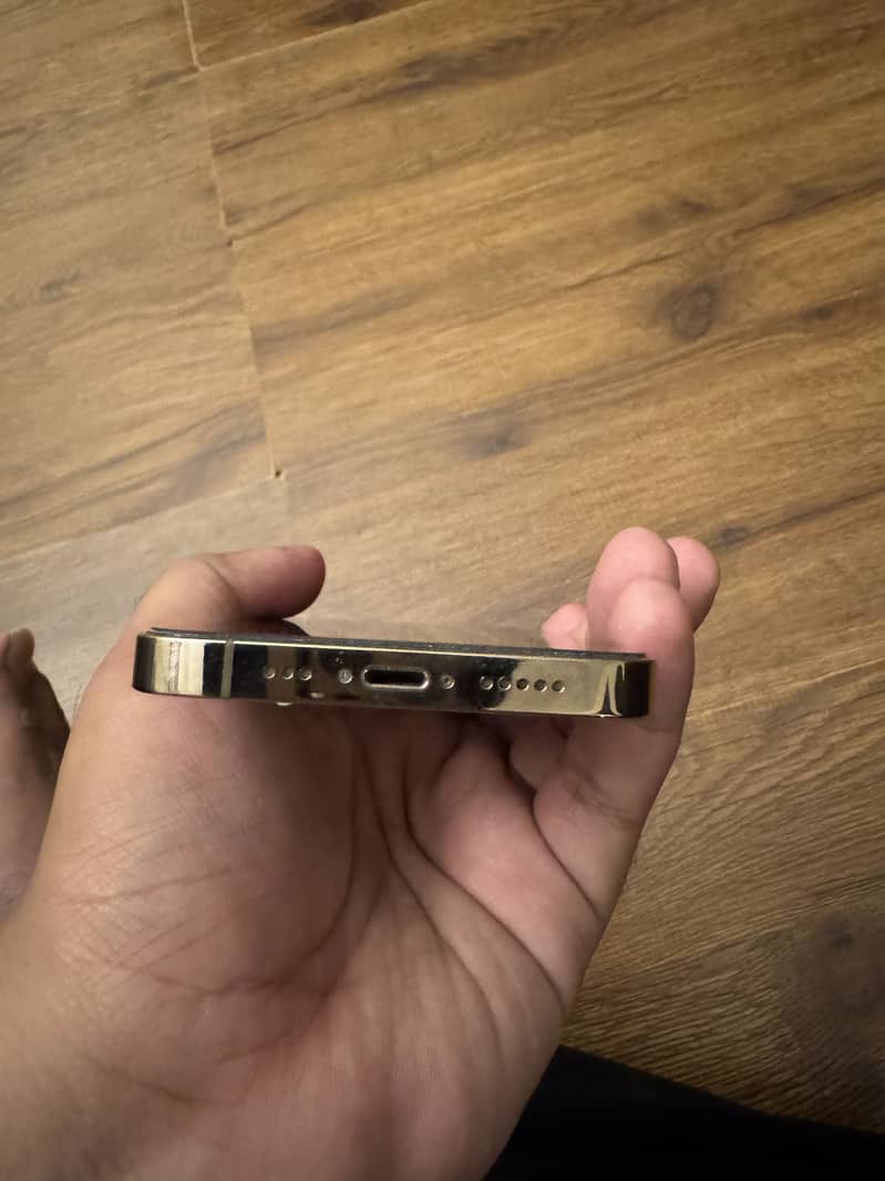 Apple iPhone 13 Pro FU 8