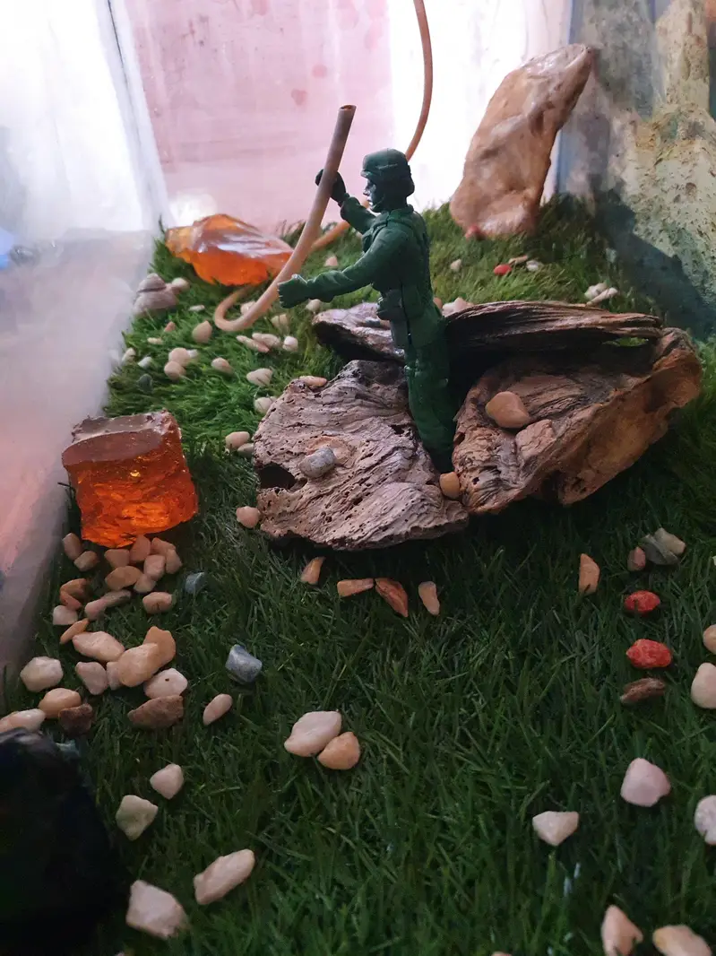 FISH AQUARIUM COMPLETE SETUP + KING GOLDFISH — photo 4