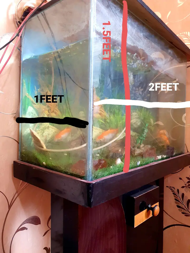 FISH AQUARIUM COMPLETE SETUP + KING GOLDFISH — photo 7