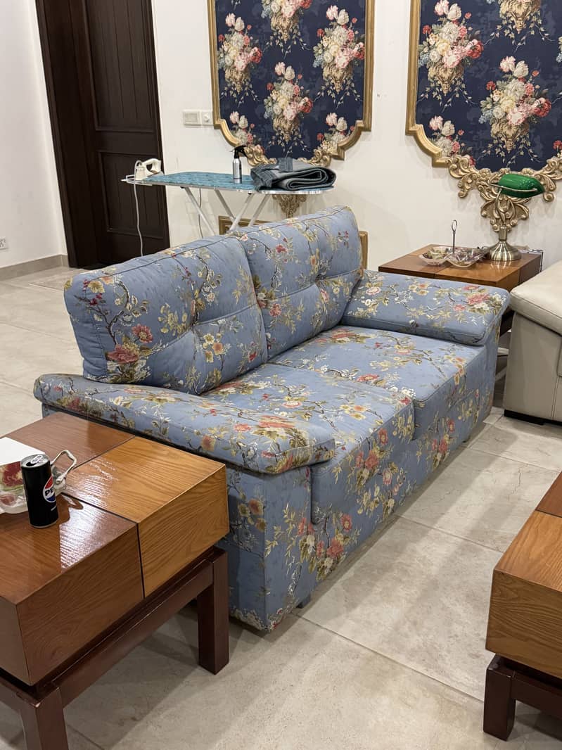 2-Seater Sofa Set (2 Sofas) 0