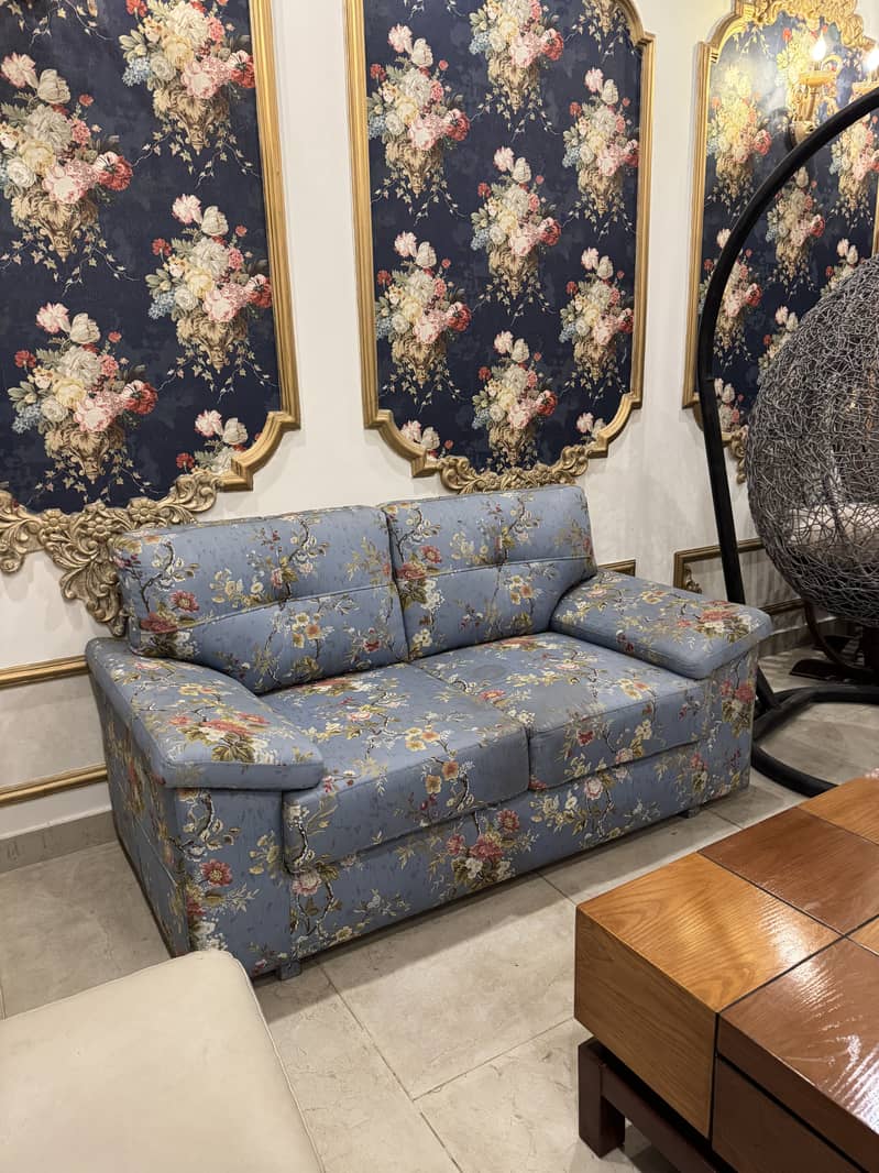 2-Seater Sofa Set (2 Sofas) 2