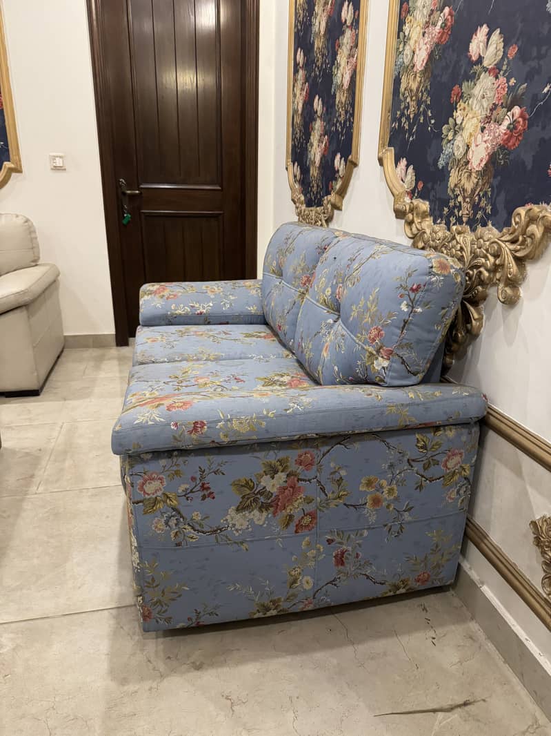 2-Seater Sofa Set (2 Sofas) 3
