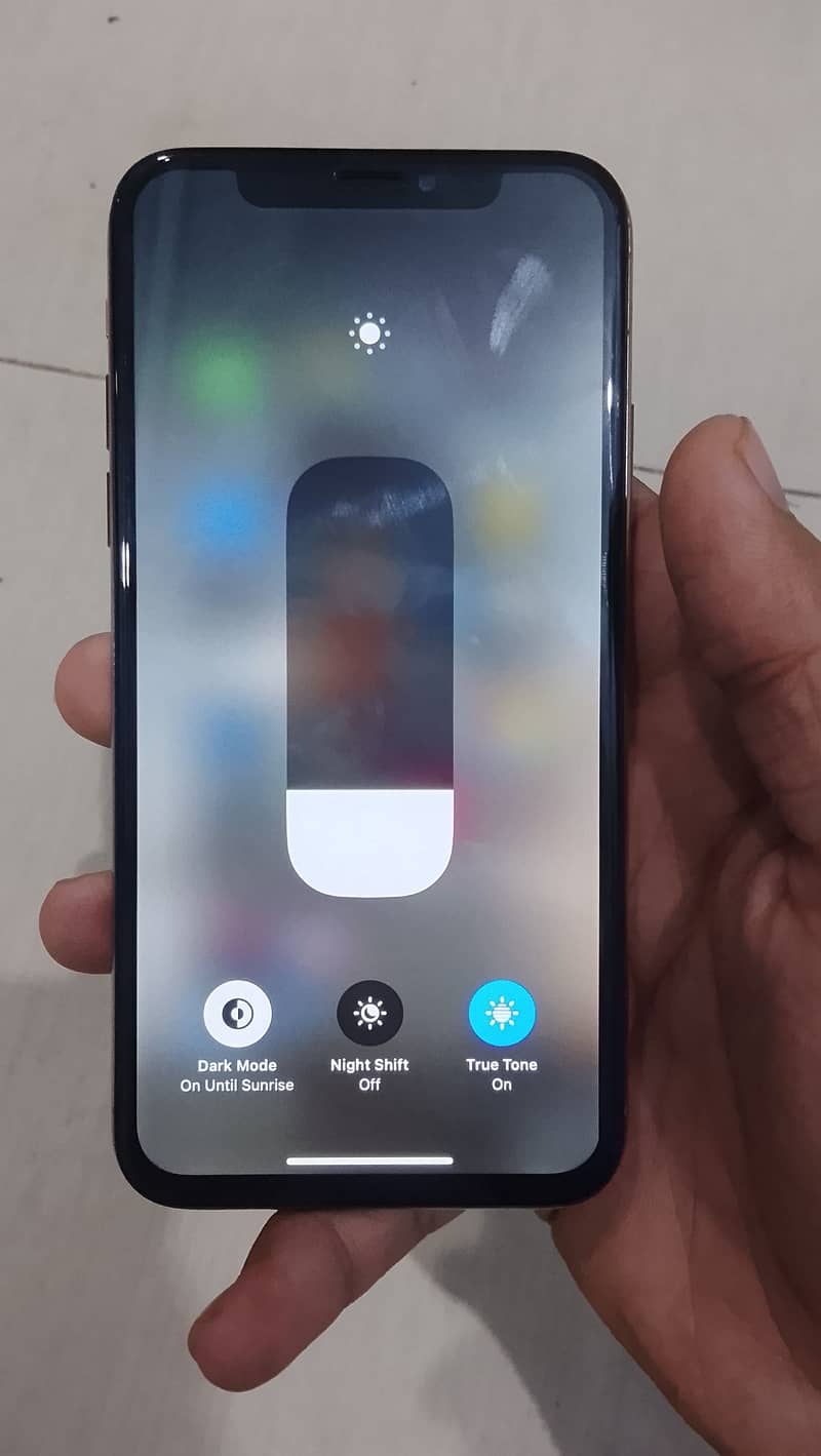 Apple iPhone XS 2