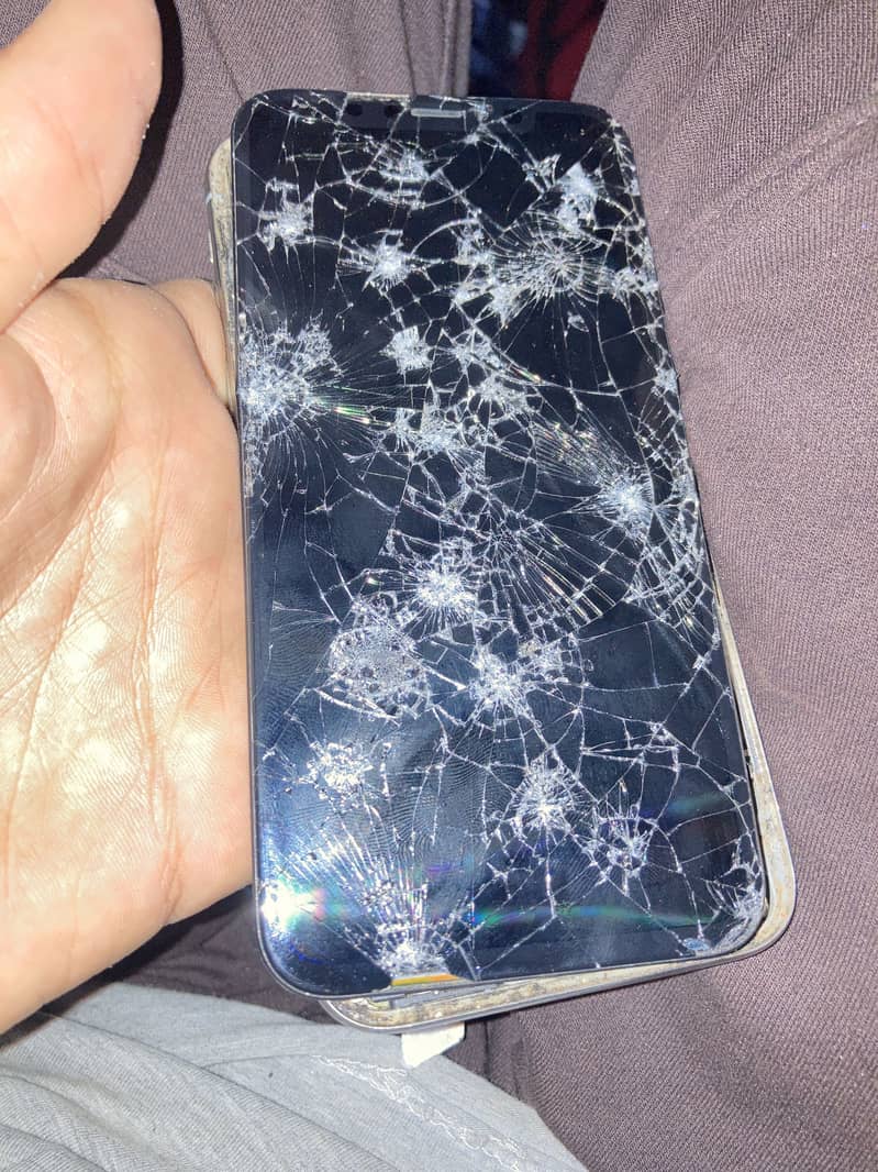 Apple iPhone X 1