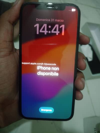 Apple iPhone 12