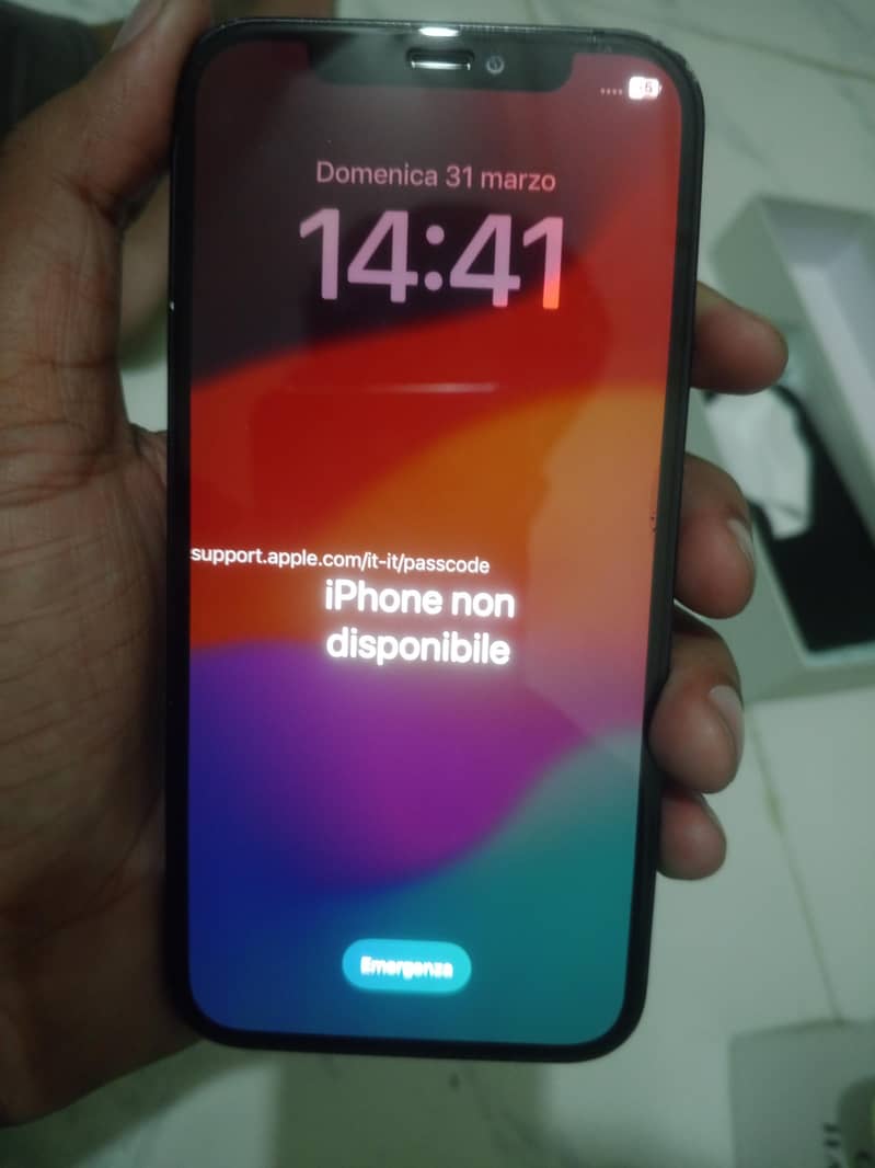 Apple iPhone 12 0