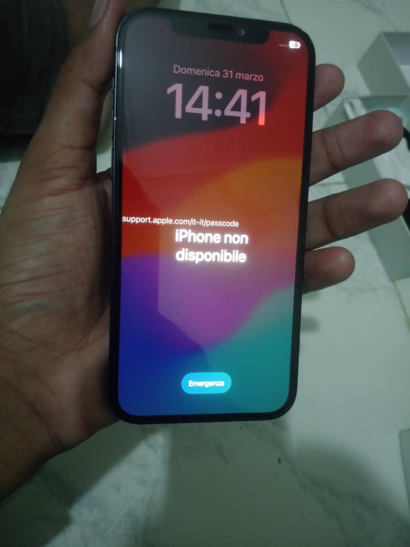 Apple iPhone 12 1