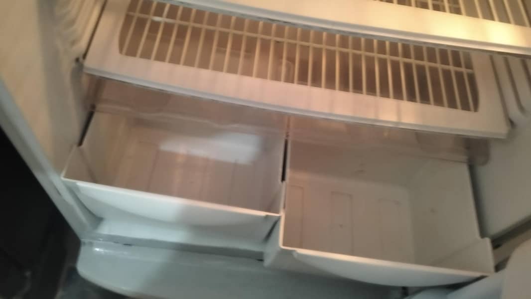 PEL Refrigerator 5