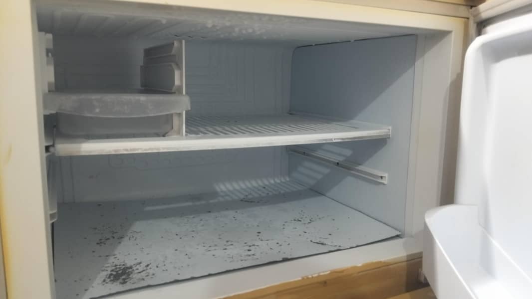 PEL Refrigerator 11