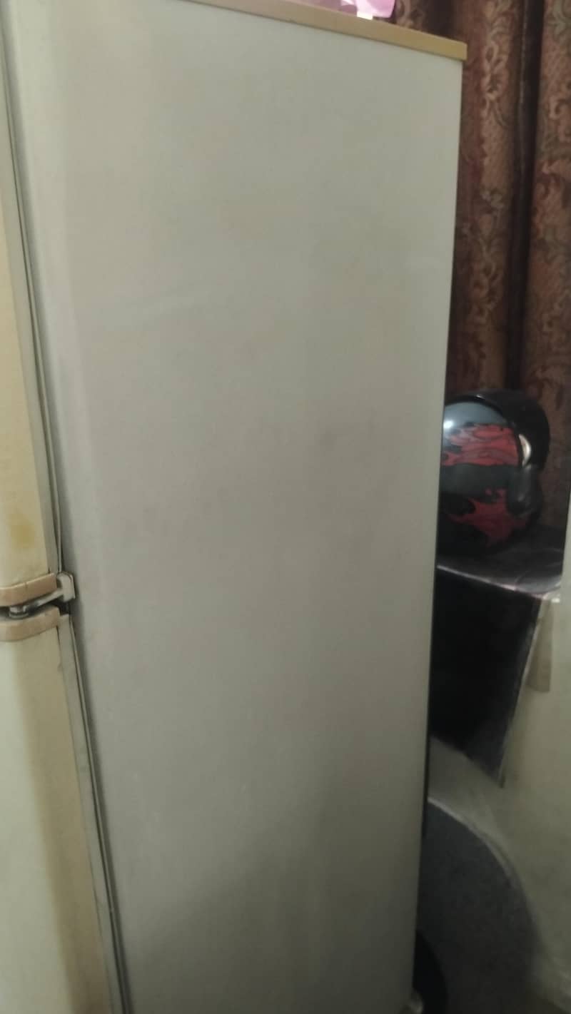 PEL Refrigerator 12