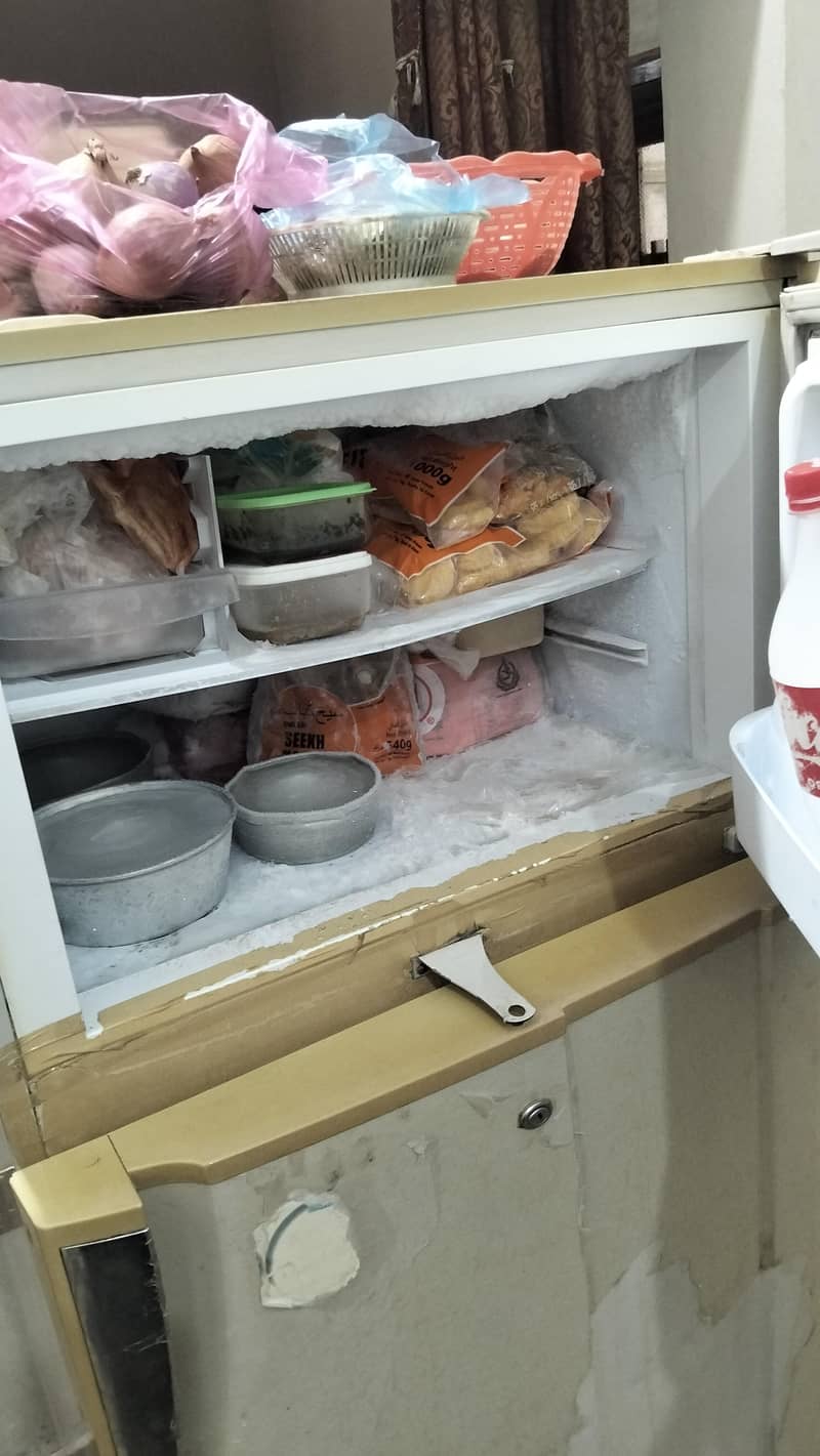 PEL Refrigerator 13