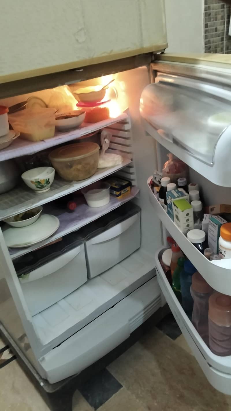 PEL Refrigerator 14