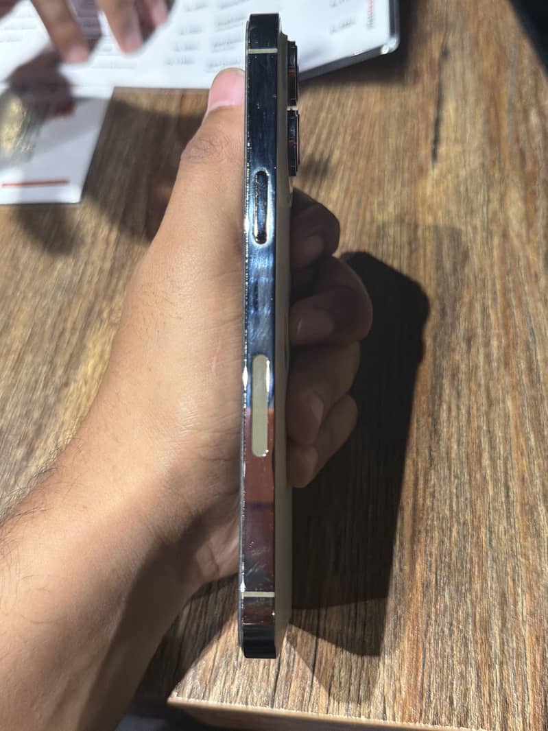 Apple iPhone 14 Pro Max 1