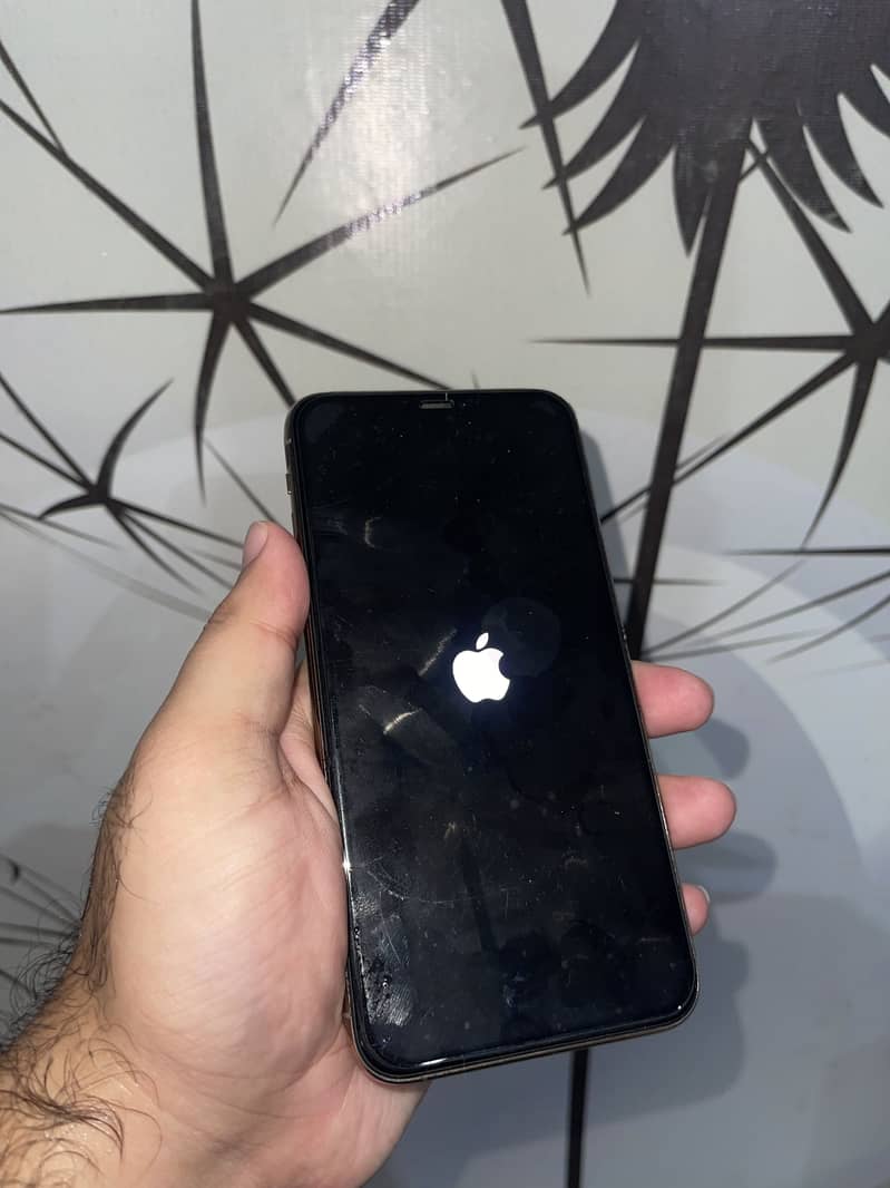 Apple iPhone 11 Pro Max 2