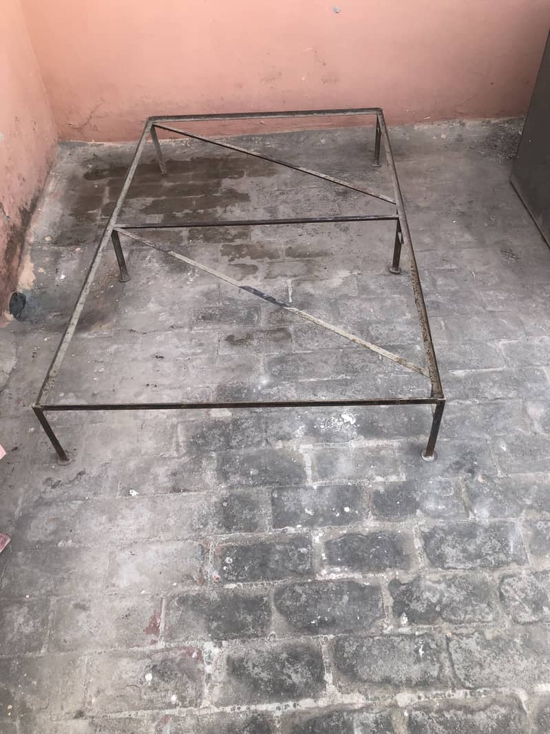 5 ft petti 1