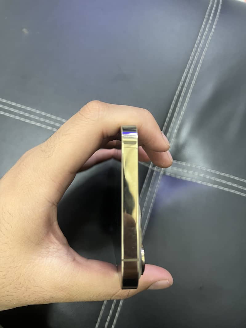 Apple iPhone 13 Pro Max 3