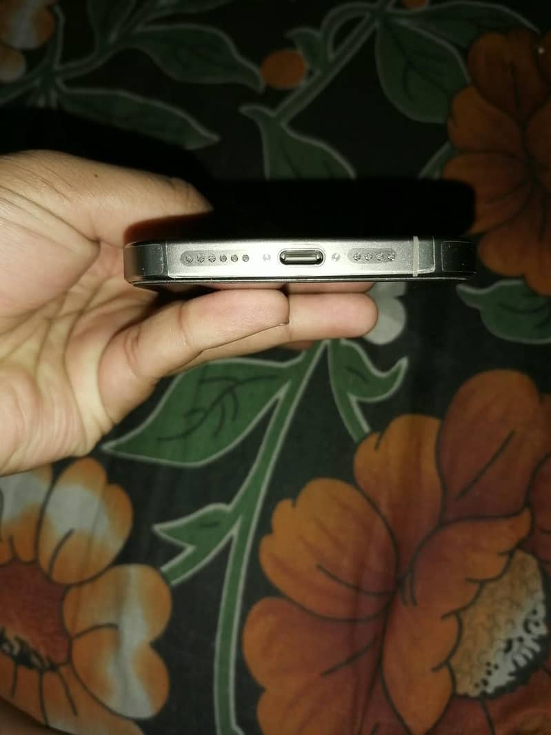 Apple iPhone 15 Pro Max 1