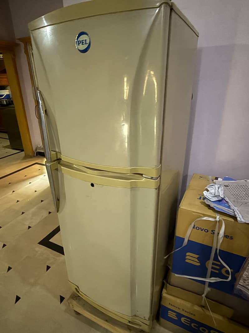 PAL refrigerator 1