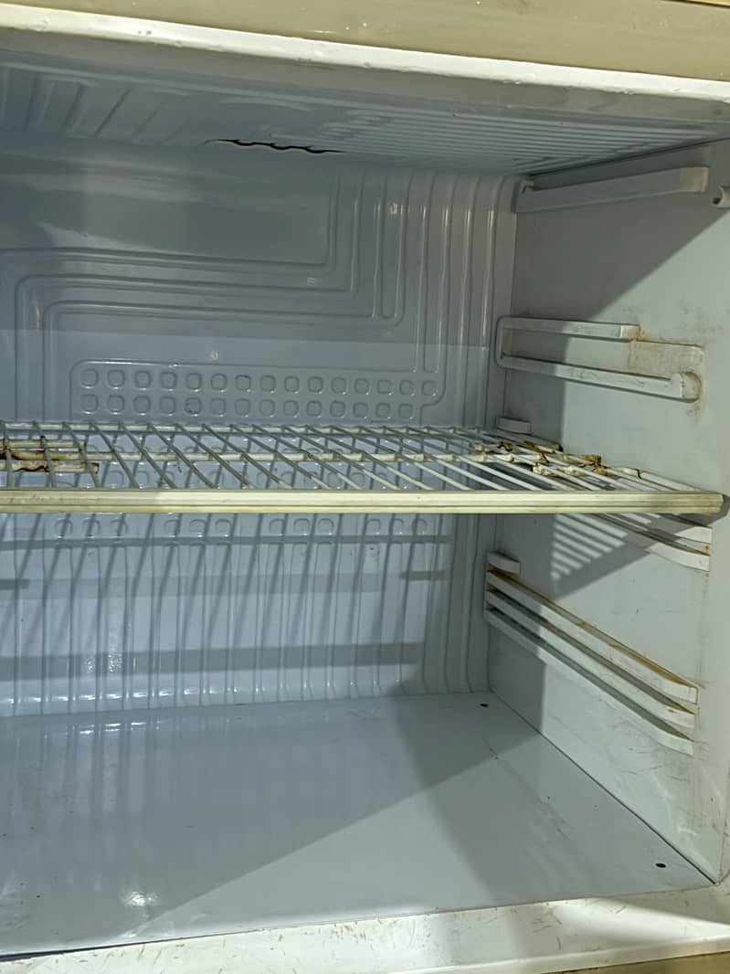 PAL refrigerator 5