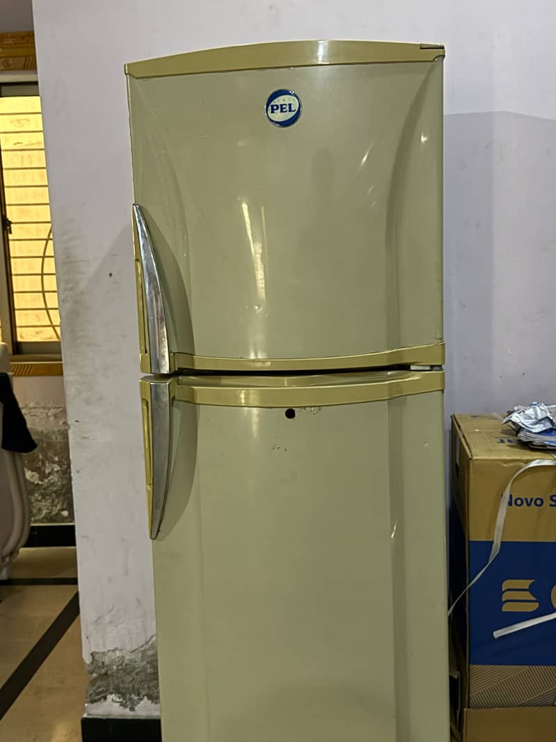 PAL refrigerator 6