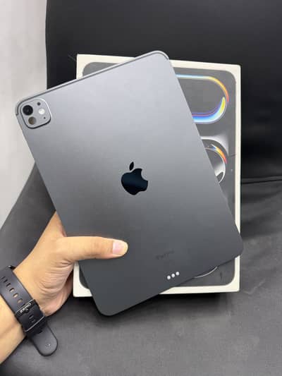 iPad PRO M4 256GB