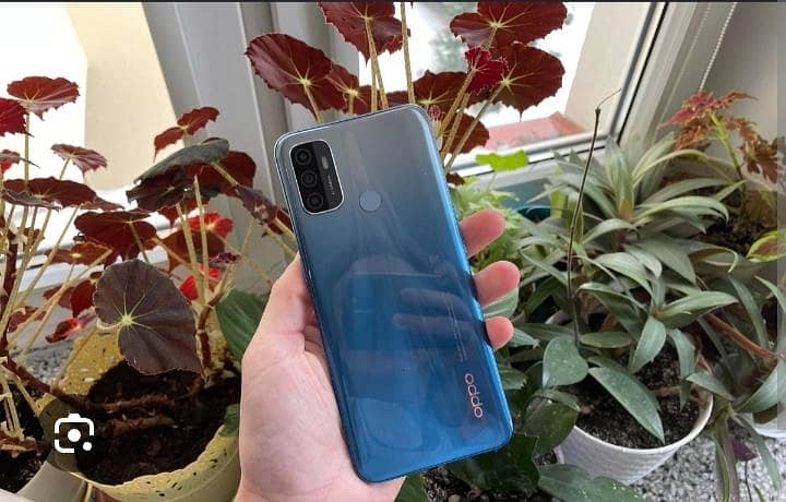 OPPO A53 0