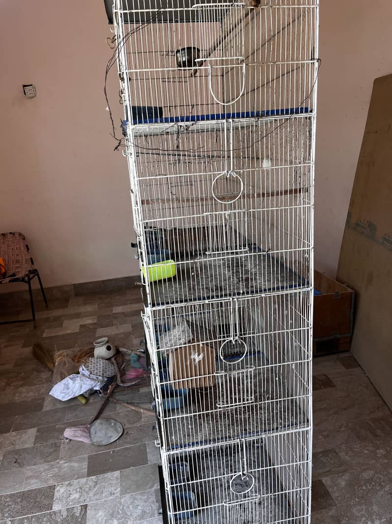 Cage for parrots 2