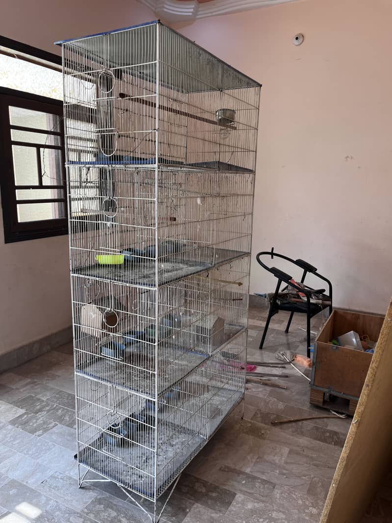 Cage for parrots 4