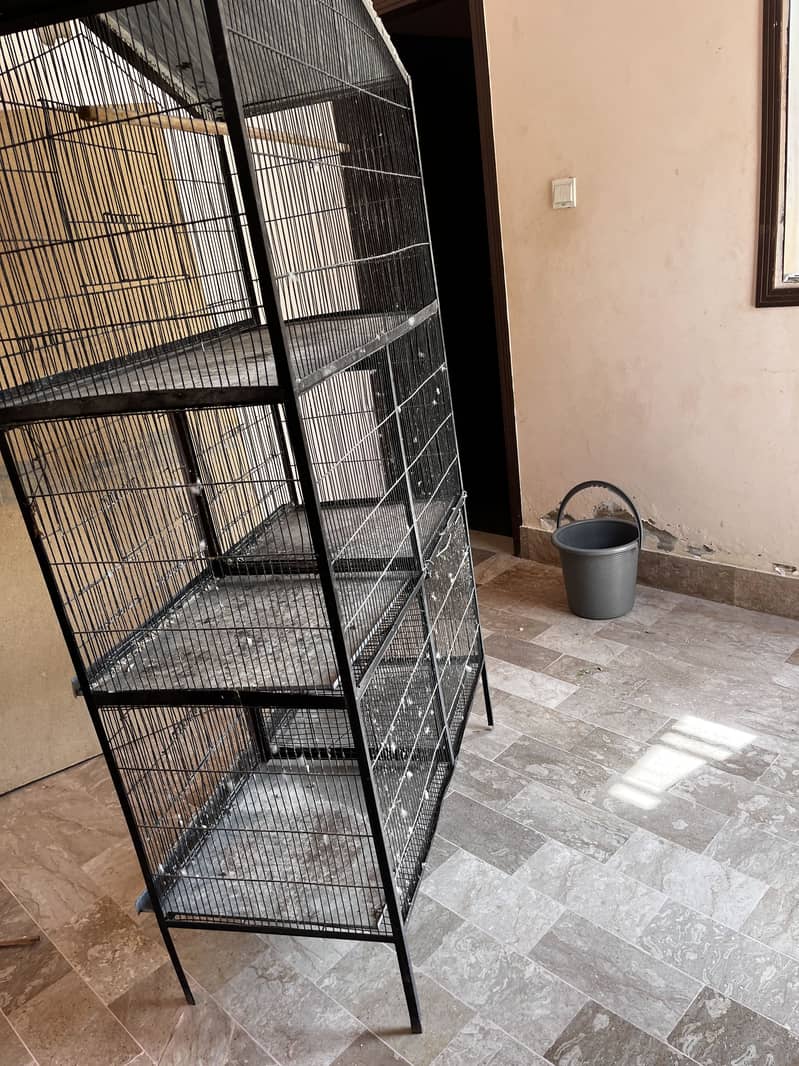 Cage for parrots 5