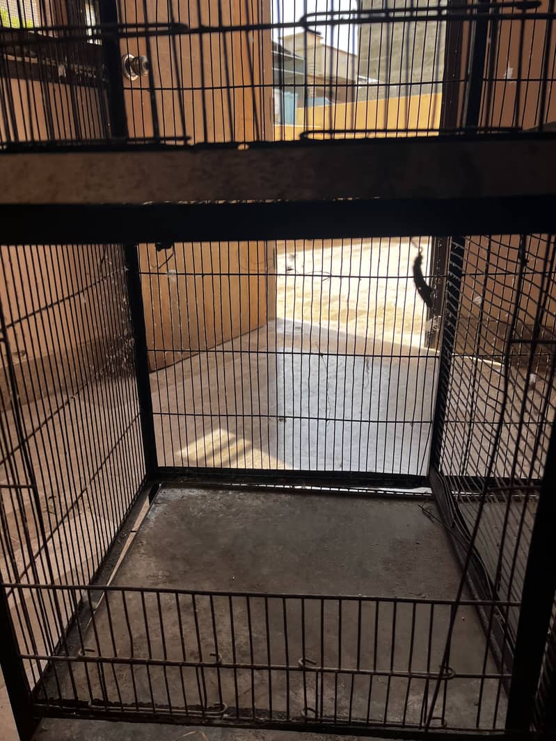 Cage for parrots 6