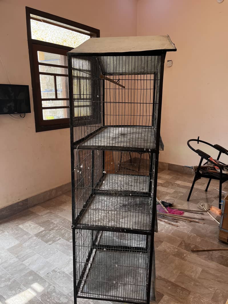 Cage for parrots 10
