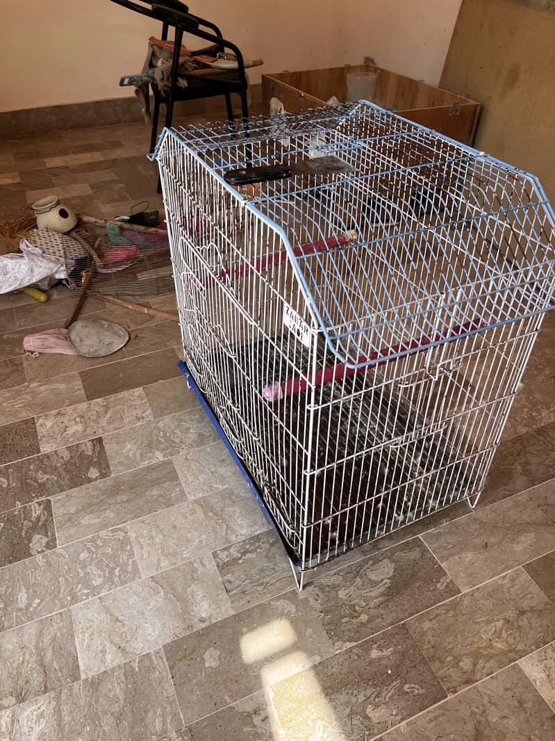 Cage for parrots 12