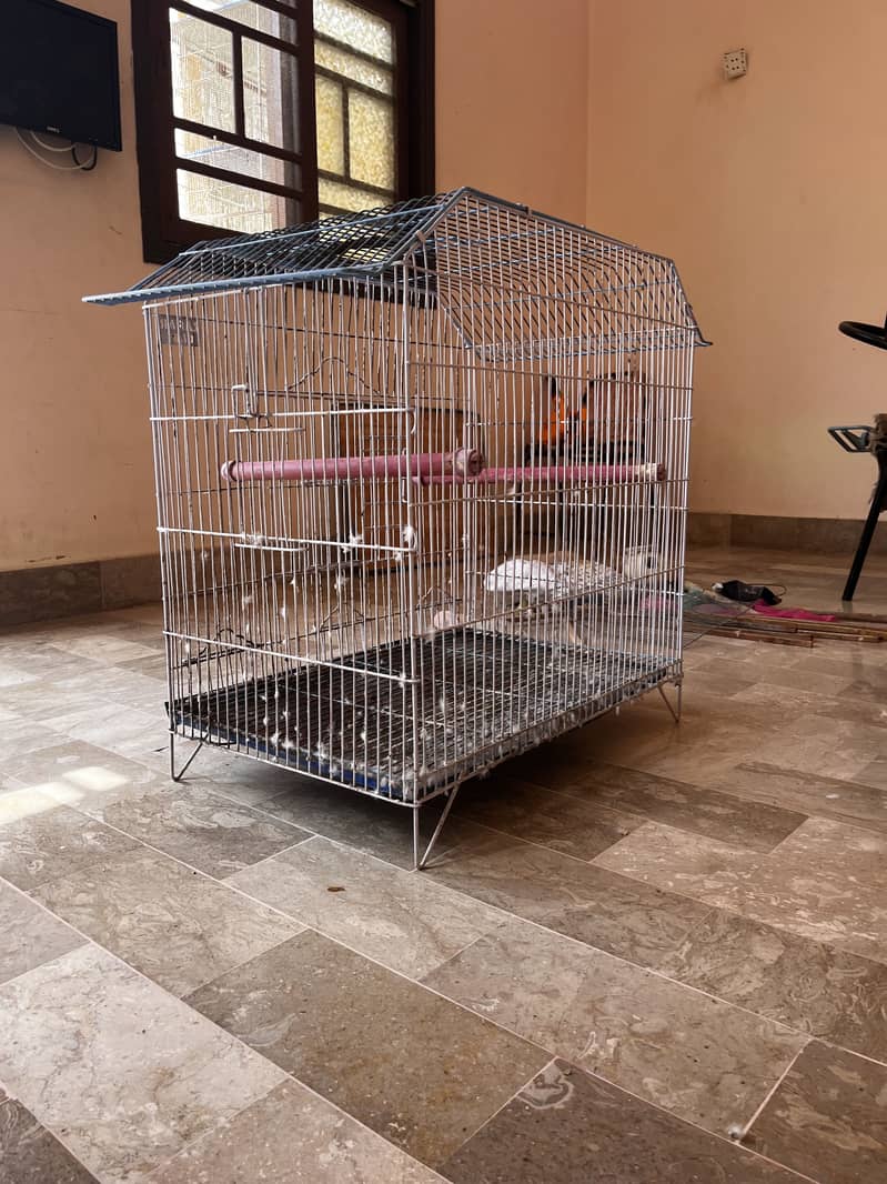 Cage for parrots 13