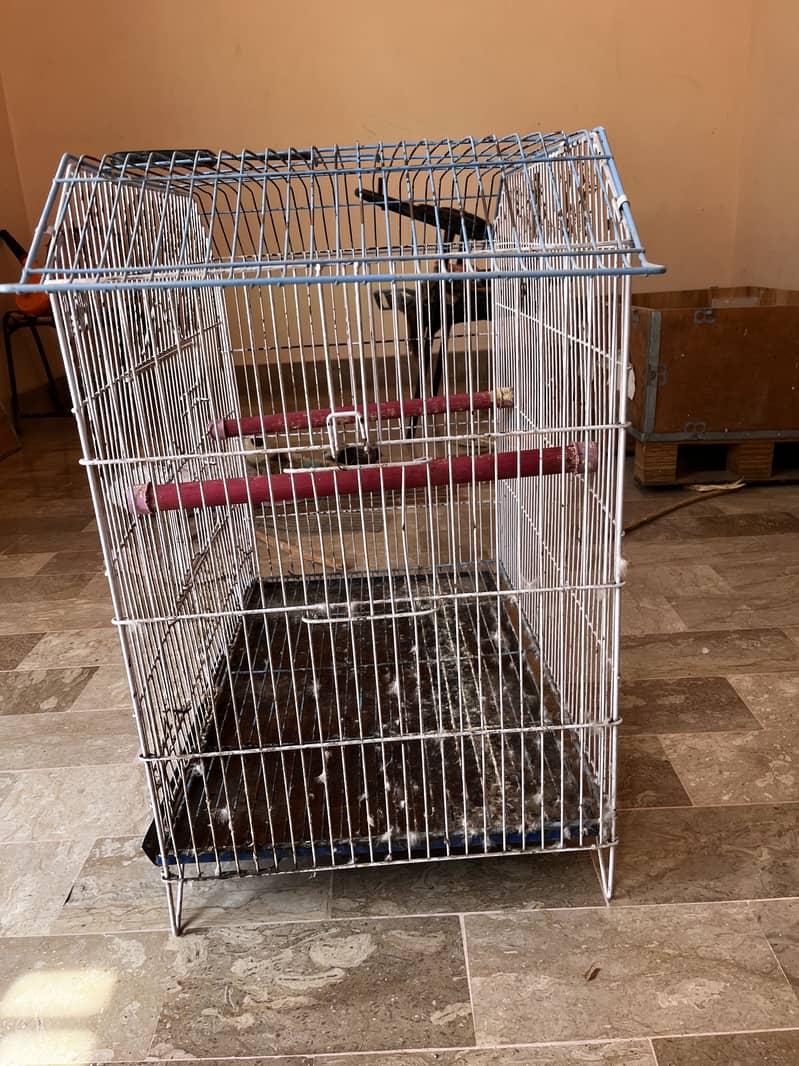 Cage for parrots 14