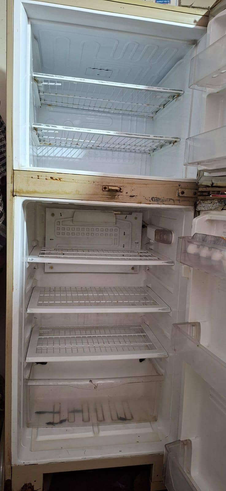 Pel refrigrater 4