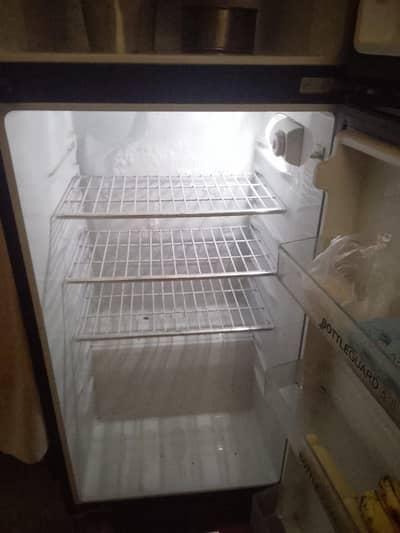 Hair fridge