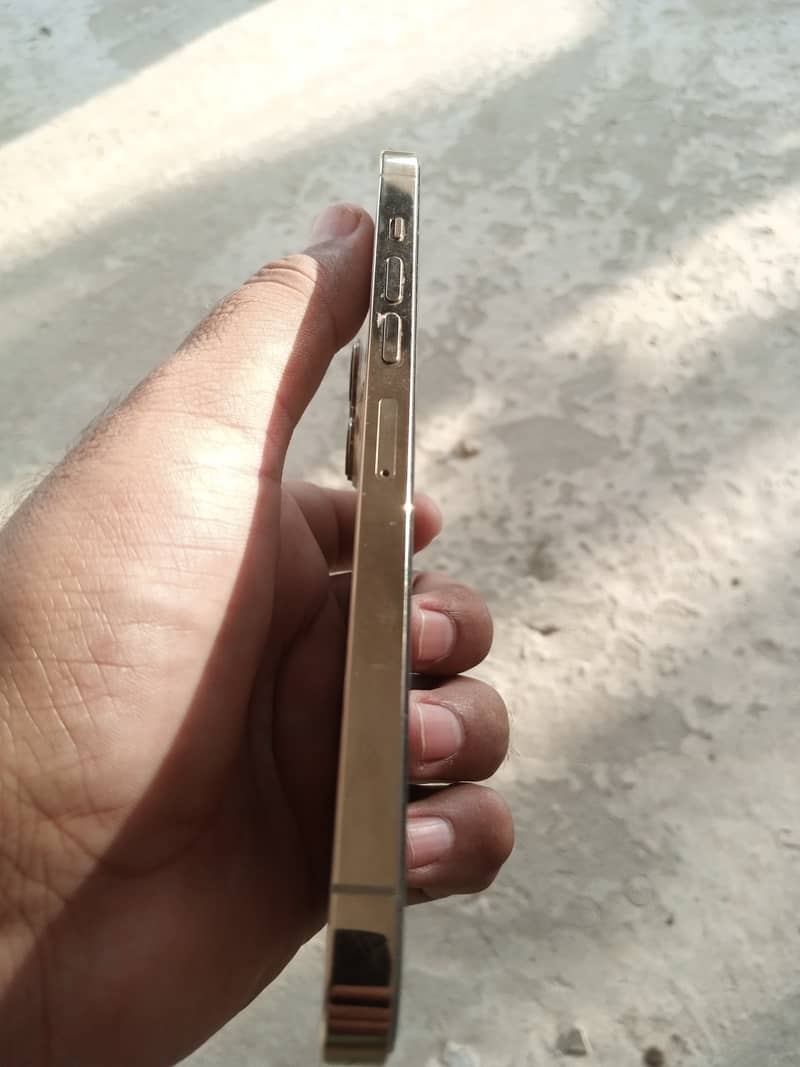 Apple iPhone 13 Pro Max 1