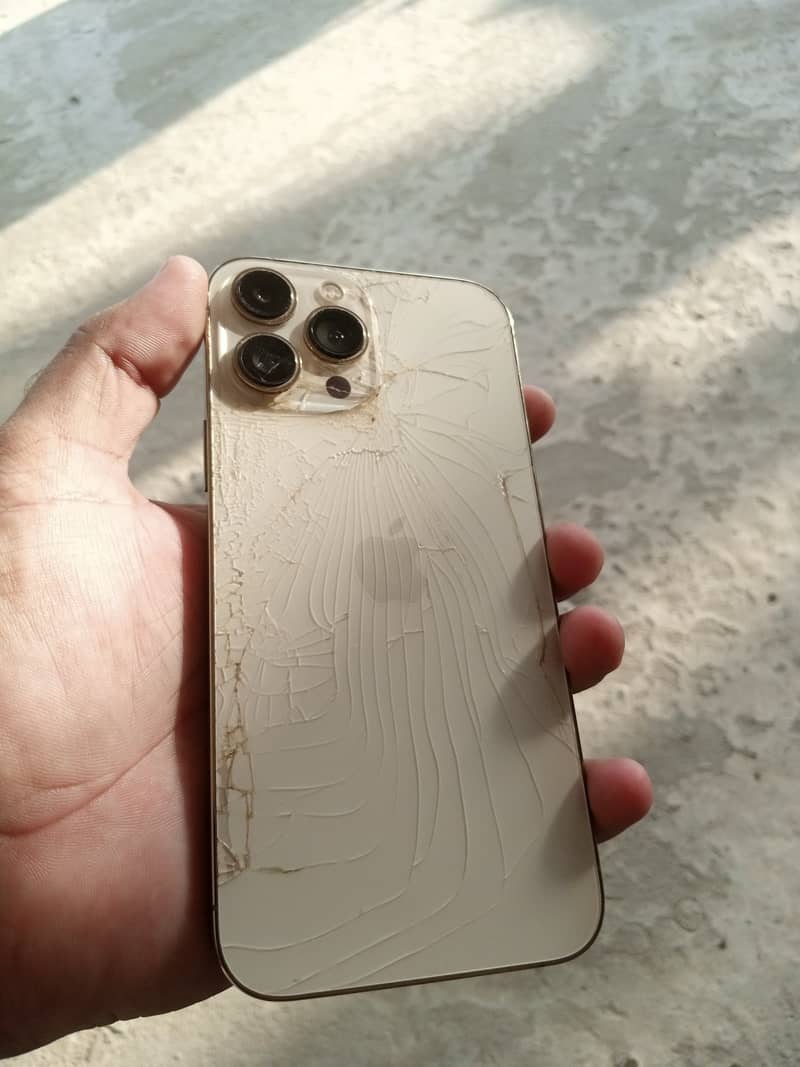 Apple iPhone 13 Pro Max 2