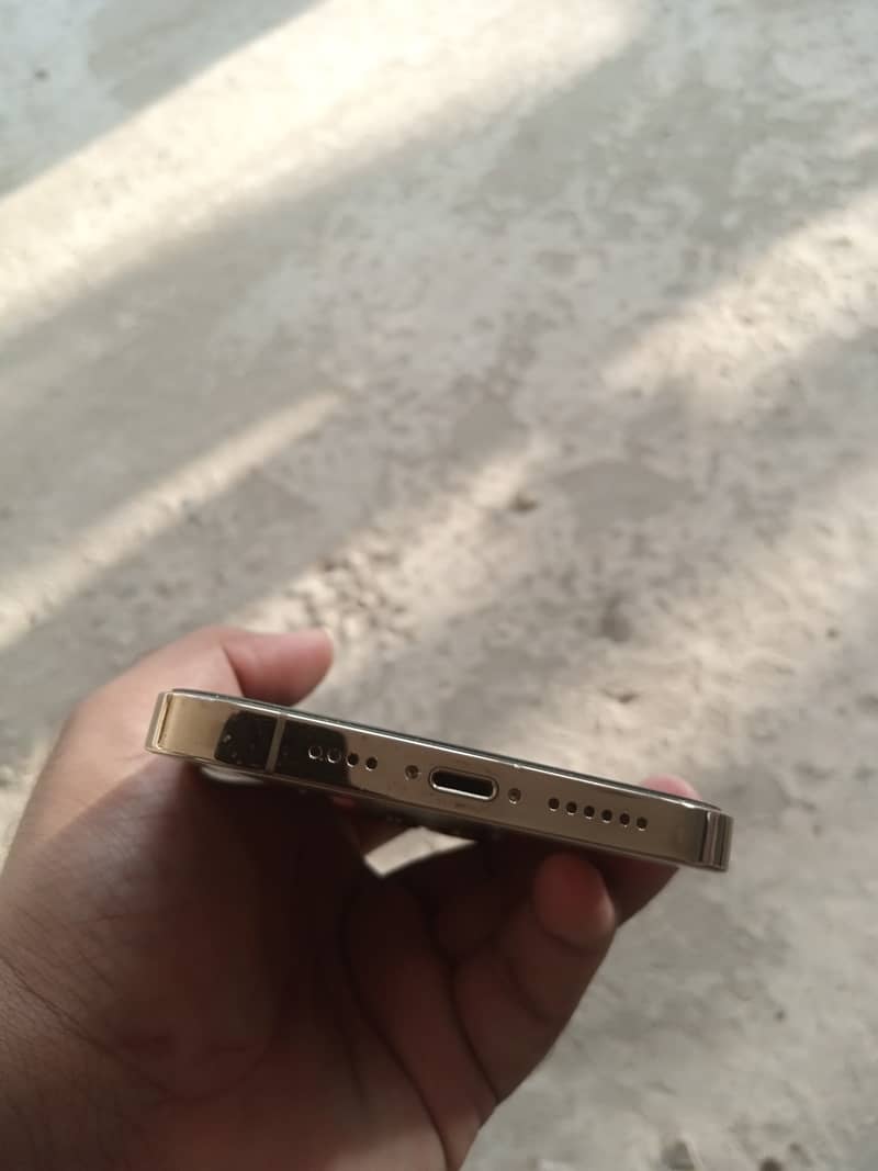 Apple iPhone 13 Pro Max 4