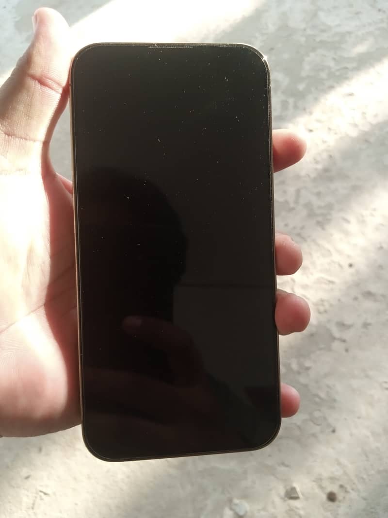 Apple iPhone 13 Pro Max 5