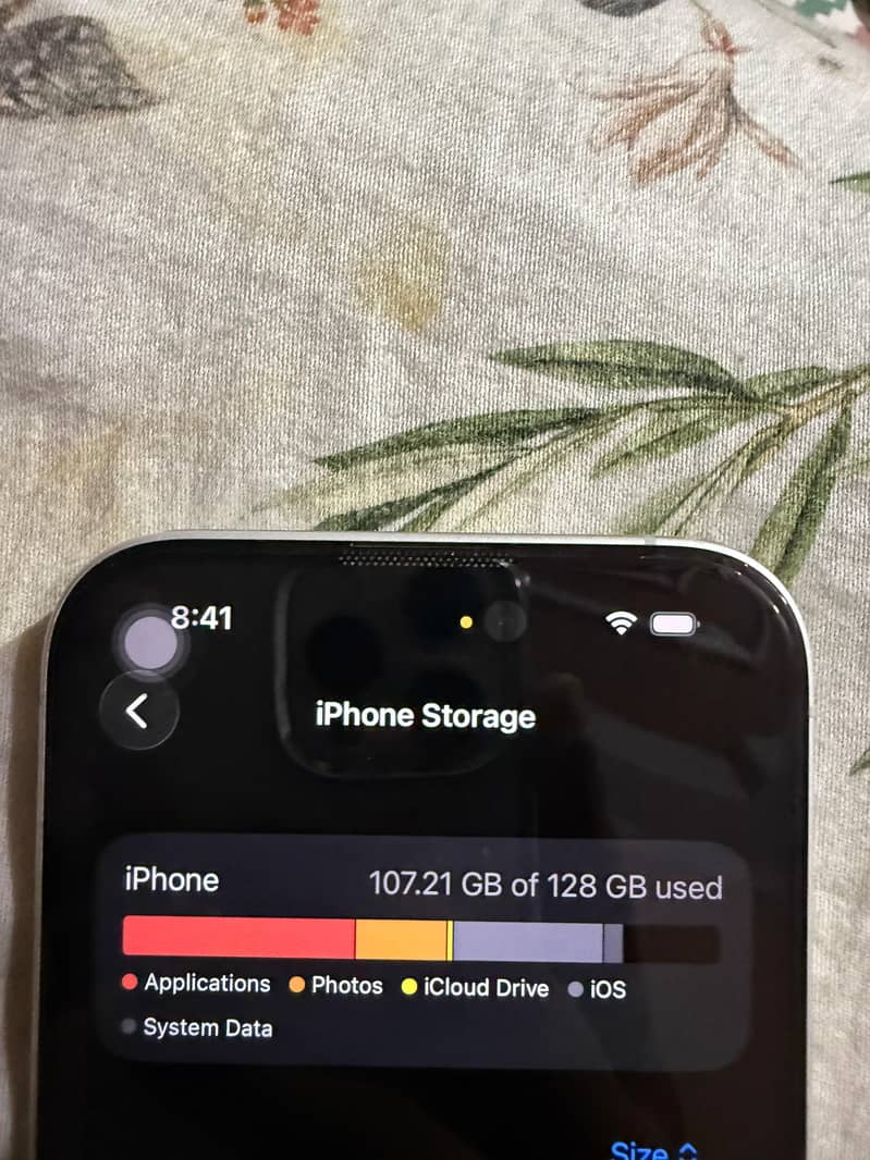 Apple iPhone 16 1